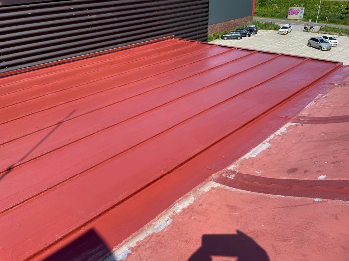 Vloeibaar aanbrengen van Triflex ProDetail